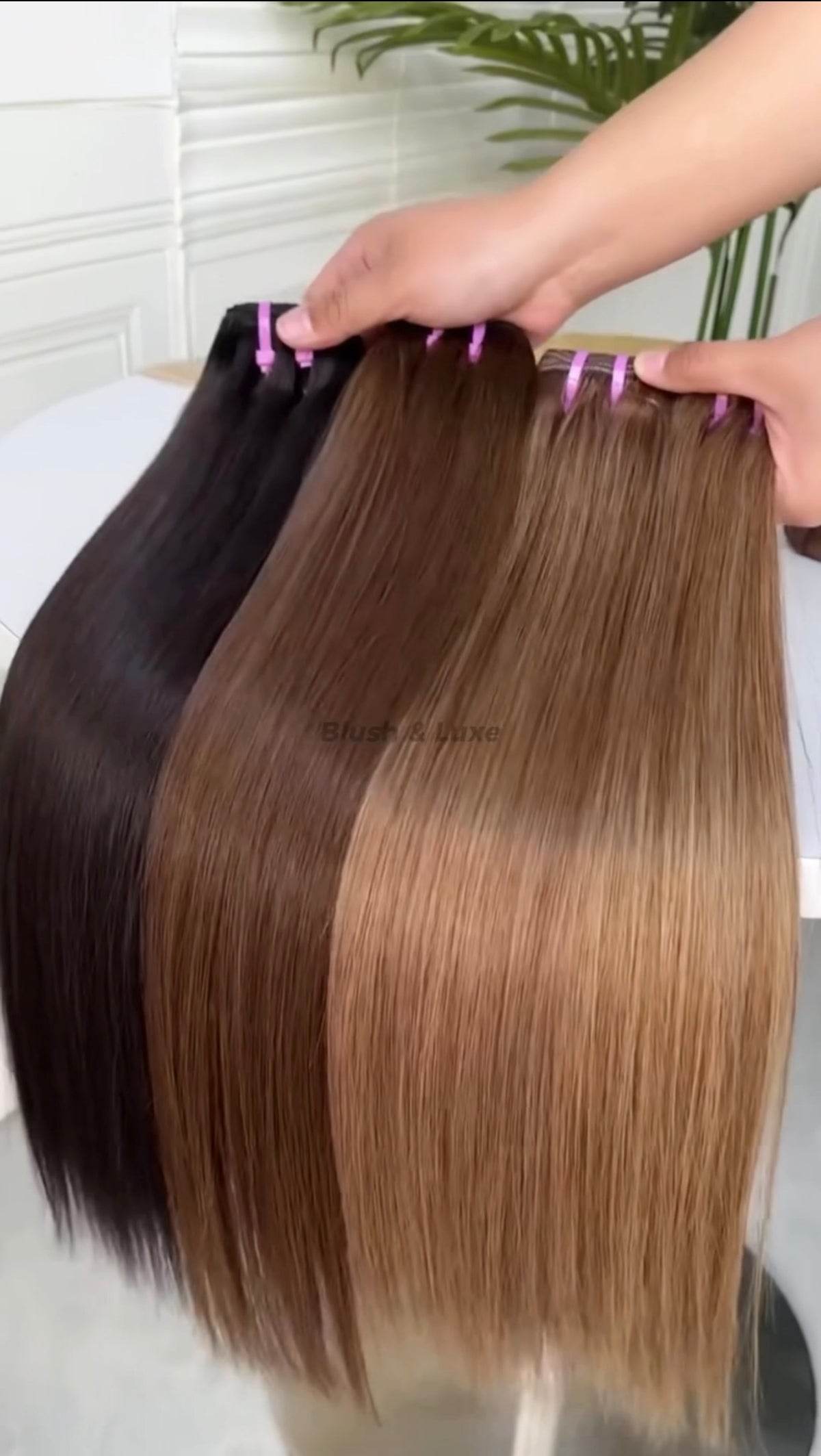 Hair Colour Customisation Service