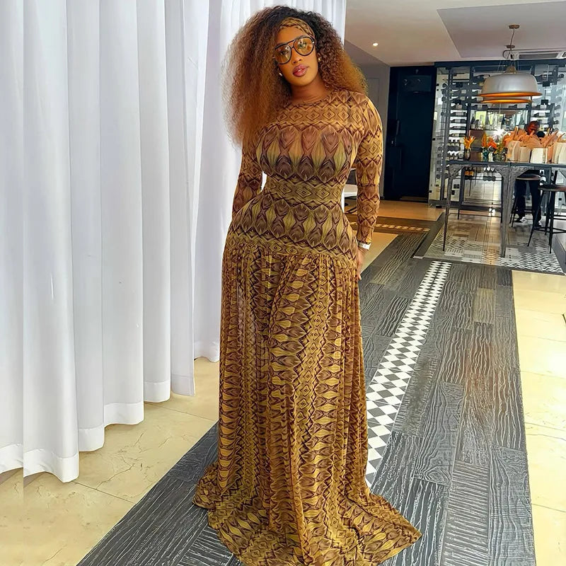 Vintage Print Mesh Long Sleeve Maxi Dress