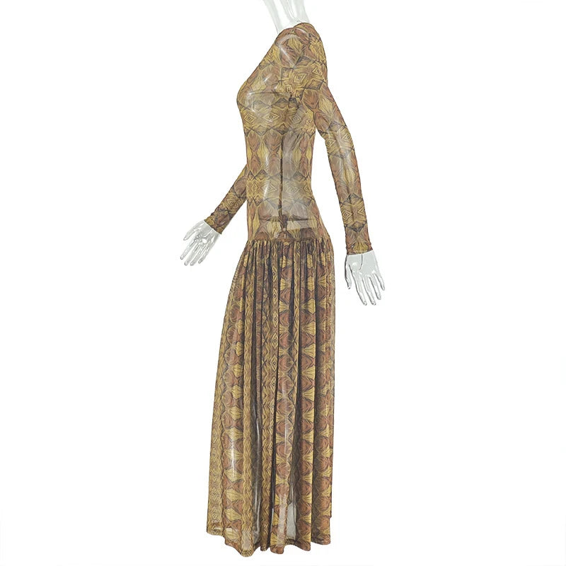 Vintage Print Mesh Long Sleeve Maxi Dress