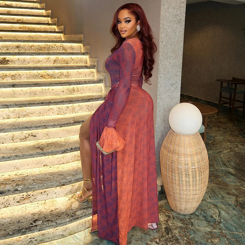 Vintage Print Mesh Long Sleeve Maxi Dress