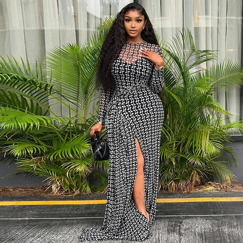 Vintage Print Mesh Long Sleeve Maxi Dress