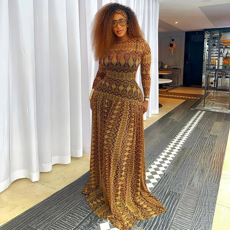 Vintage Print Mesh Long Sleeve Maxi Dress