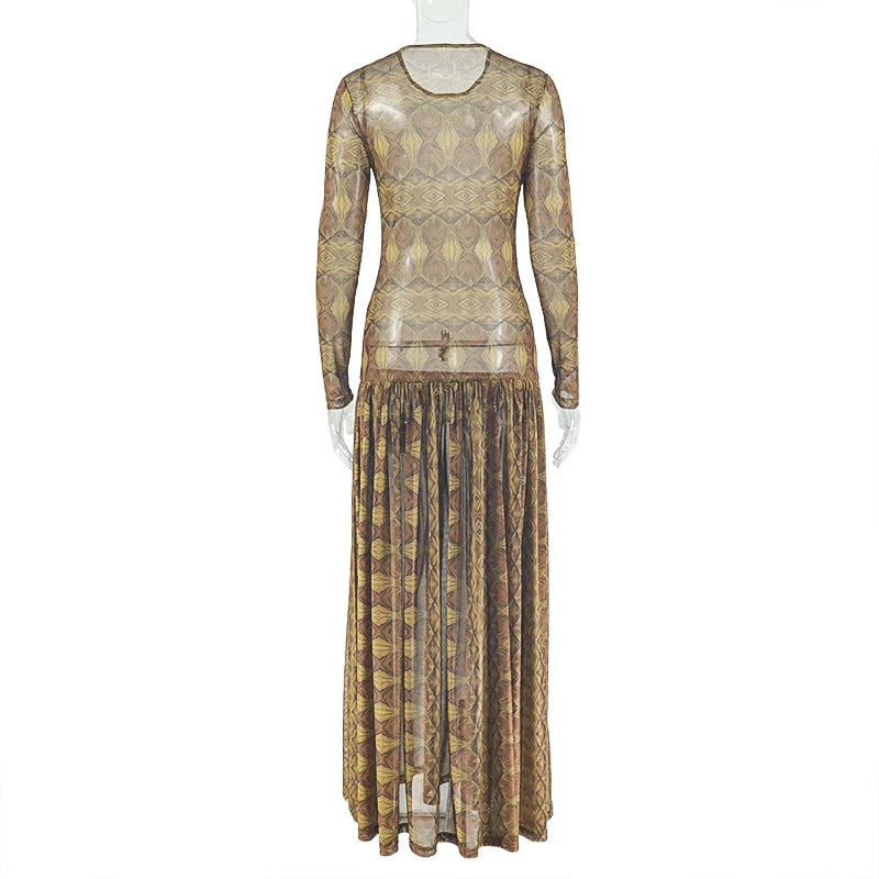 Vintage Print Mesh Long Sleeve Maxi Dress