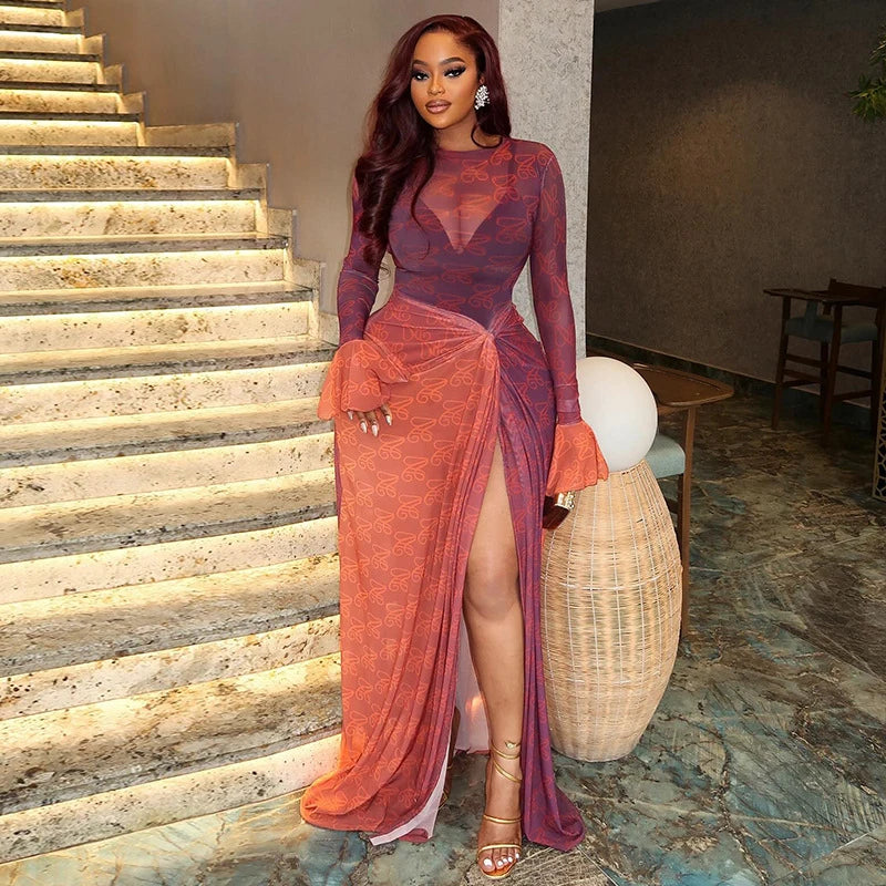 Vintage Print Mesh Long Sleeve Maxi Dress