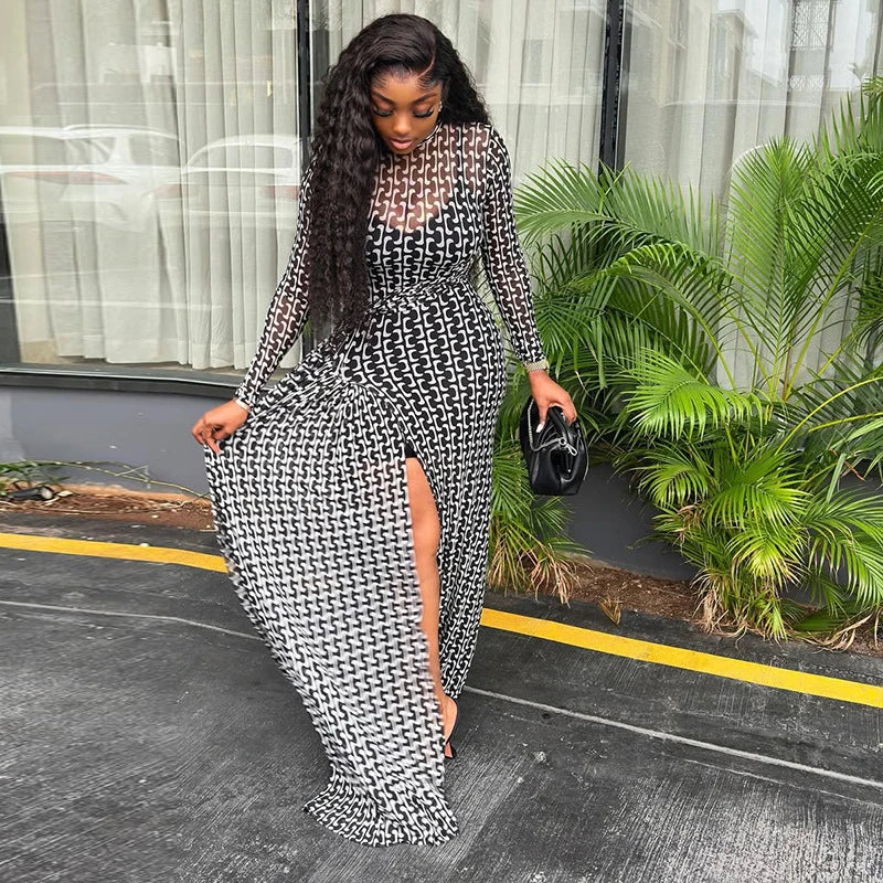 Vintage Print Mesh Long Sleeve Maxi Dress